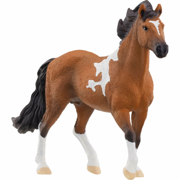 Schleich Horse Club Mangalarga Marchador hřebec, figurka ...