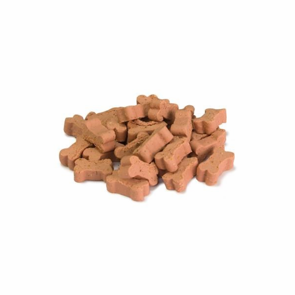 ARQUIVET Soft Snacks Salmon - pamlsek pro psa - 100g