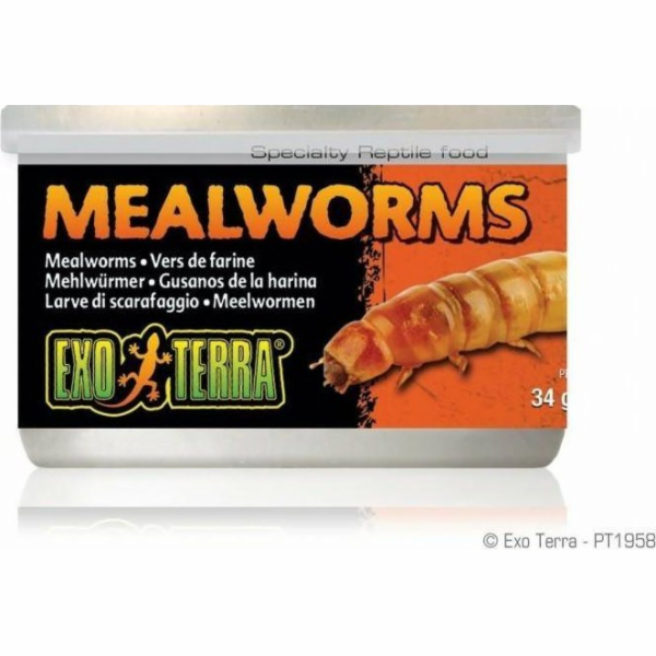 Hagen HAGEN-EXO TERRA konzerva mouční červi 34g.