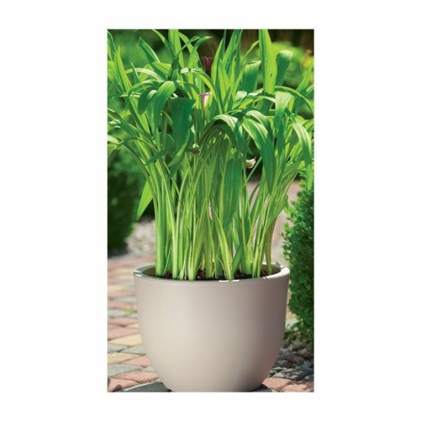 Hrnec Forma Plast Kulatý 2731, plast, V 35 cm, hnědá