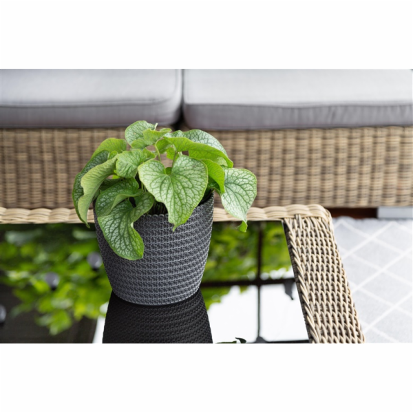 Hrnec Lamela Magnolia 733-27, plast, H 19 cm, šedý