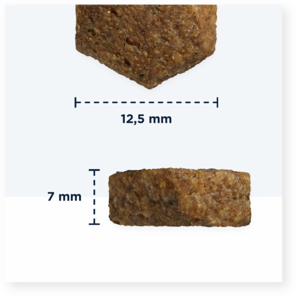 EUKANUBA Premium Grain Free Puppy Medium & Large Ocean fi...