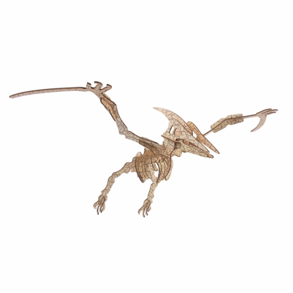 Woodcraft Dřevěné 3D puzzle Pterosaur