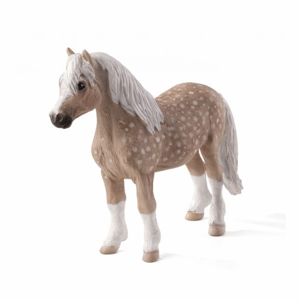 Mojo Velšský pony
