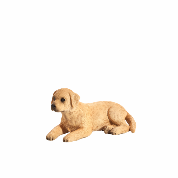 Mojo Labrador štěně