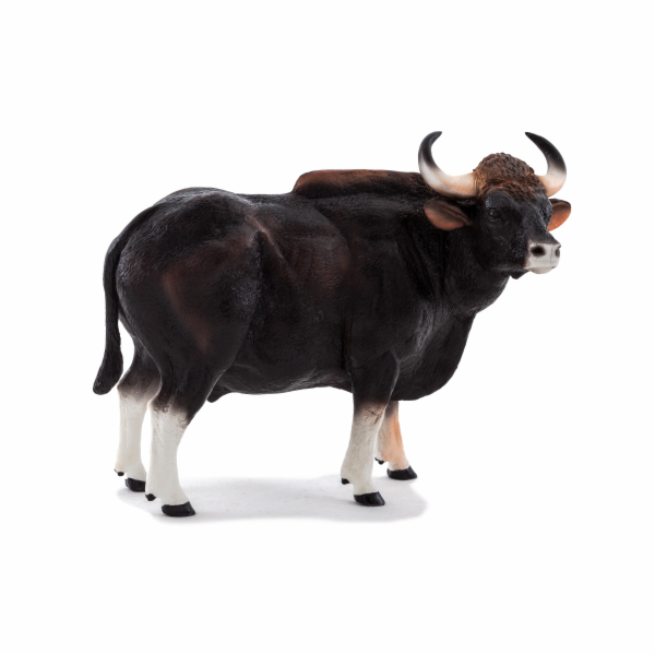 Mojo Gaur býk
