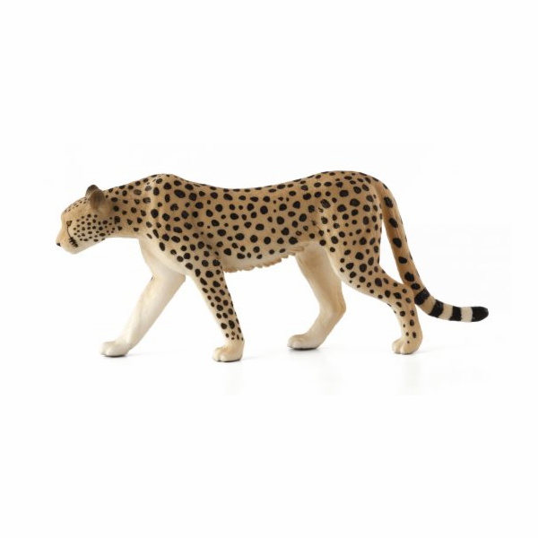Mojo Gepard