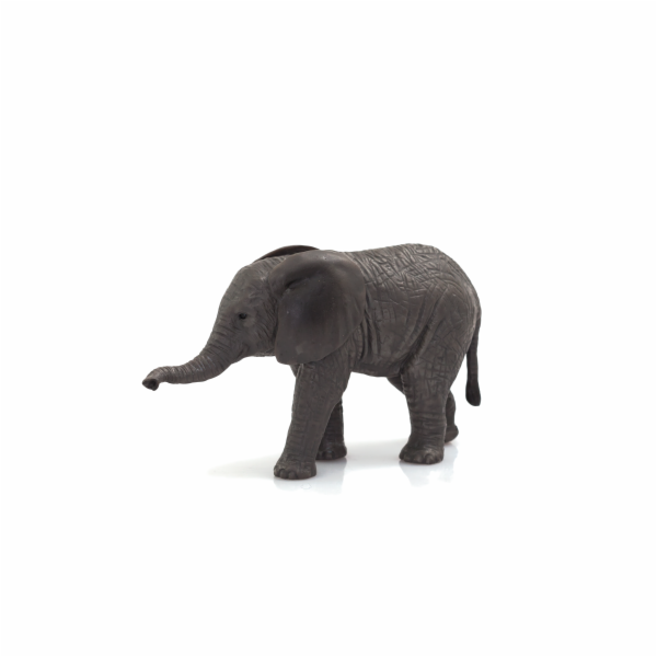 Mojo Slon africký slůně