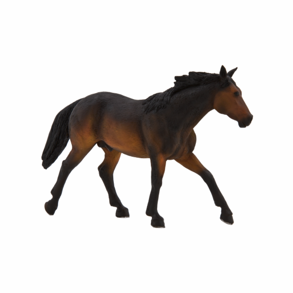 Mojo Quarter horse hnědák
