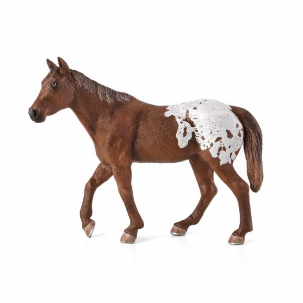 Mojo Appaloosa hřebec blanket