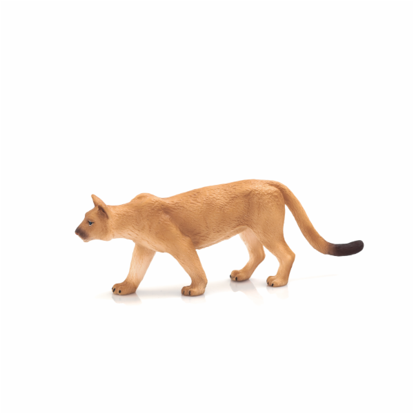 Mojo Puma americká