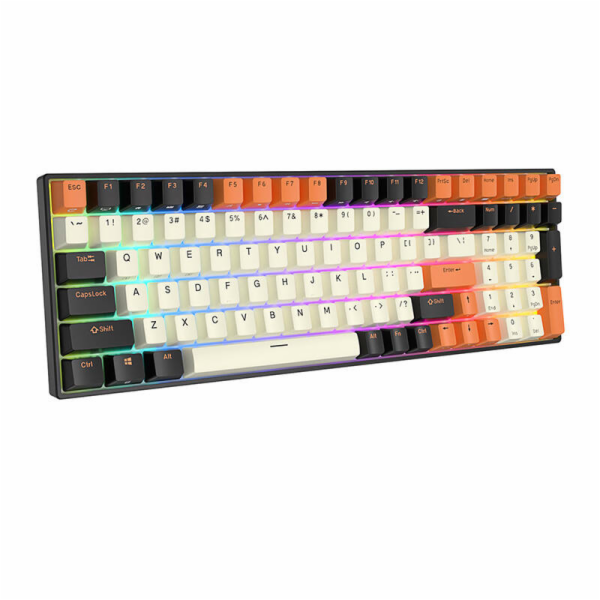 Mechanická klávesnice Royal Kludge RK100 RGB, hnědý spína...