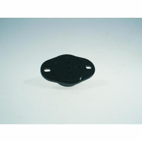 Patice pro Giantstrobe 500