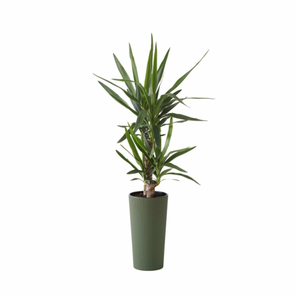 Hrnec Lamela Lilia 874-42, plast, H 18,5 cm, zelený