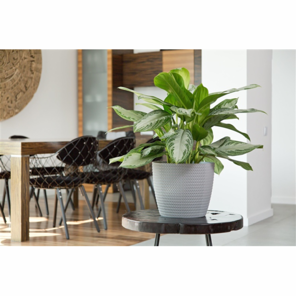 Hrnec Lamela Magnolia 734-27, plast, O 22 cm, šedý