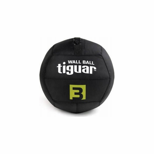 Nástěnný míč Tiguar Tiguar 3 kg
