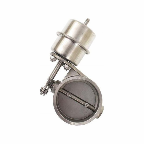TurboWorks_D Pneumatická výfuková škrticí klapka 51 mm va...