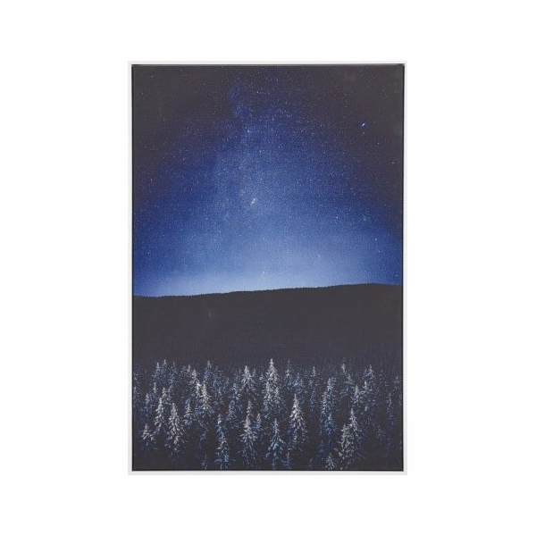 Beliani Obraz na plátně v rámu noční krajina 63 x 93 cm m...
