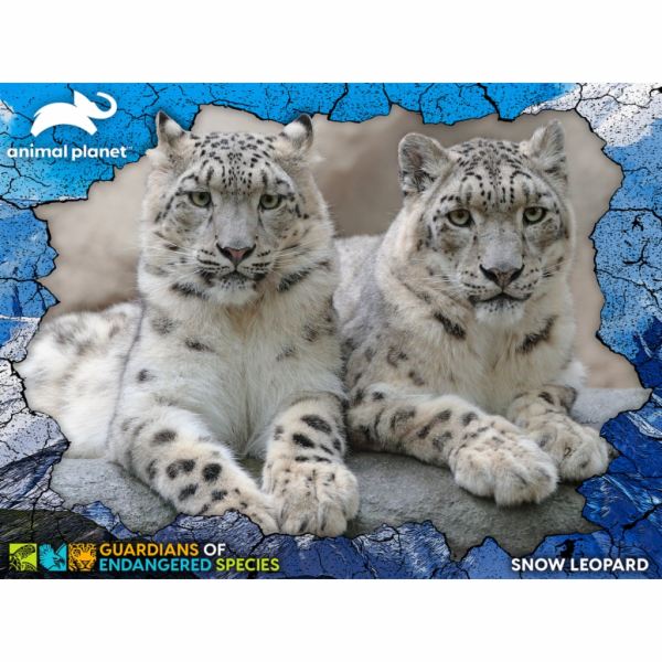 PRIME 3D PUZZLE - GES Sněžní leopardi 100 dílků