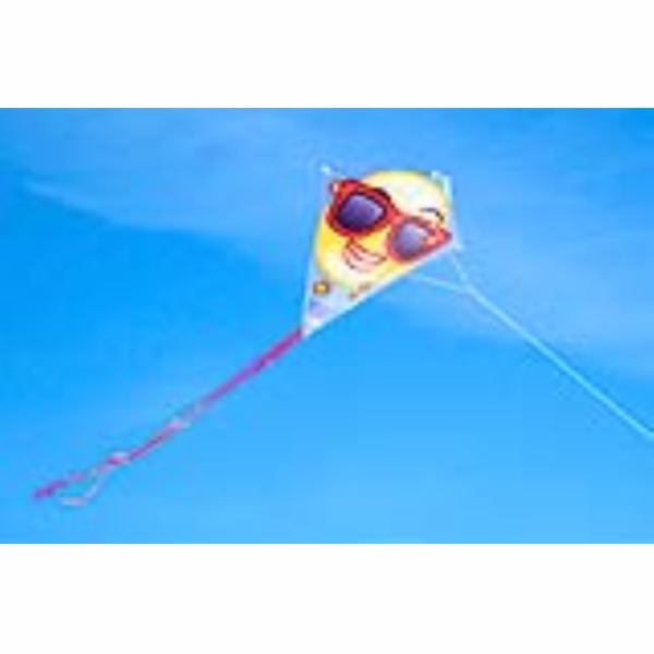 Létající Drak Emotik 58x56 cm