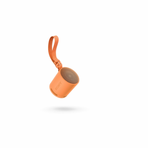 SONY SRS-XB100 Lehký a kompaktní bezdrátový reproduktor, ...