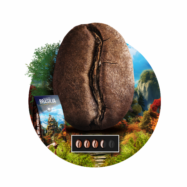 Blue Orca Fusion Brasilia Fazenda Grande