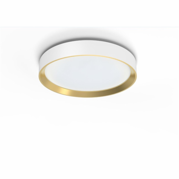 Philips Hanno stropní 24W 38cm 2700K 