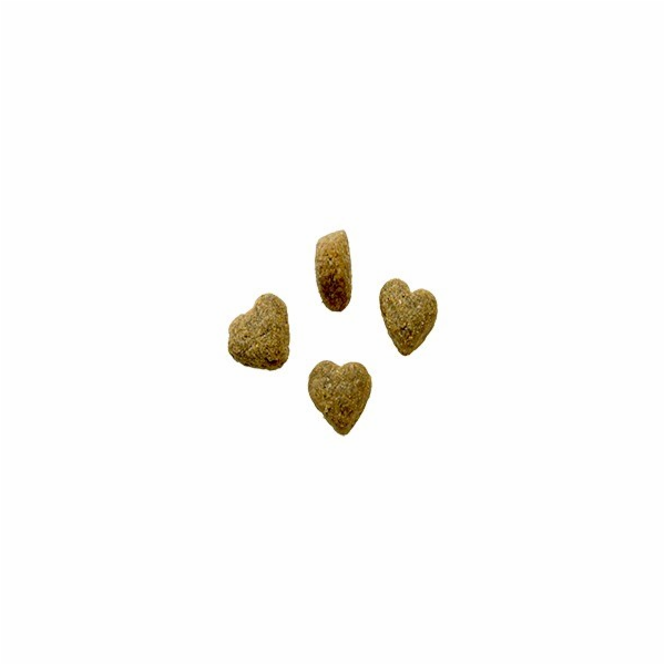 BOZITA Robur Sensitive Single Protein Salmon and Rice - s...