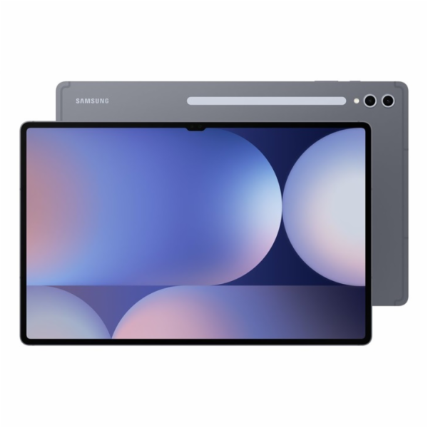 Samsung Galaxy Tab S10 Ultra 256 Gray