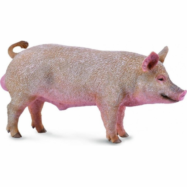 Collecta figurka BOAR