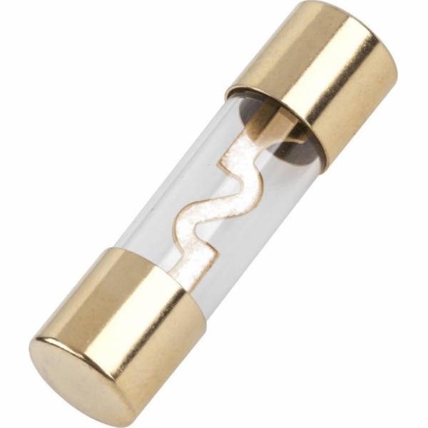 AGU autopojistky 60A 10x38 5ks/bl.