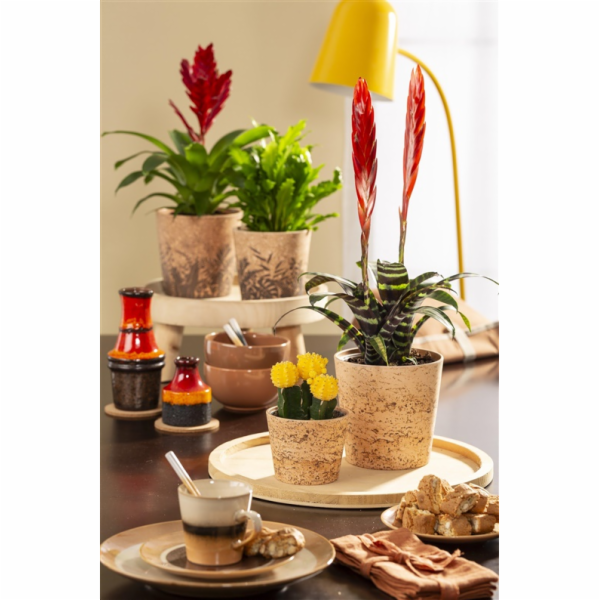 Hrnec Scheurich Cork Jungle, keramika, O 14 cm, hnědý