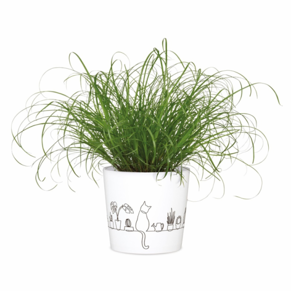 Hrnec Scheurich Catview 65577, keramika, H 13 cm, bílý