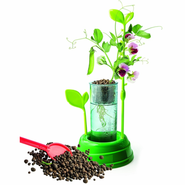 Kreativní sada Clementoni Botany 50924