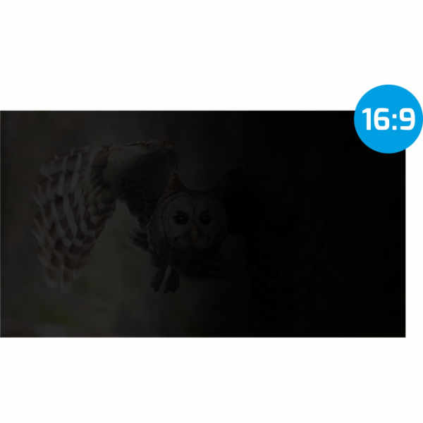 NATEC FILTR OCHRANY SOUKROMÍ OWL 17,3“ 16:9