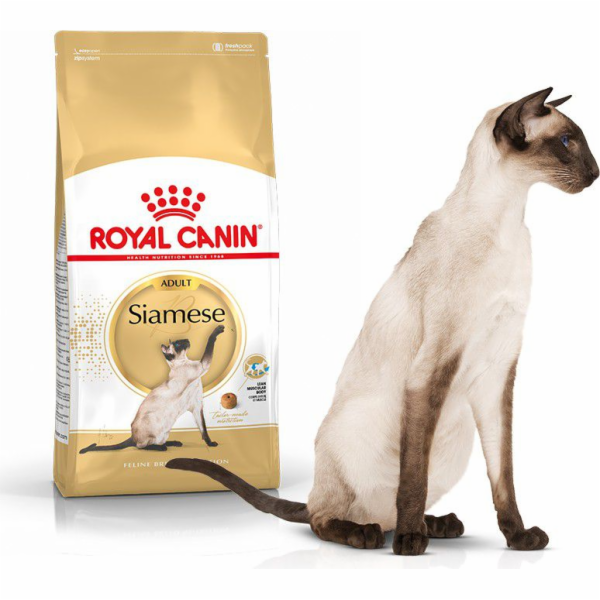 ROYAL CANIN Siamese Adult - suché krmivo pro kočky - 2 kg