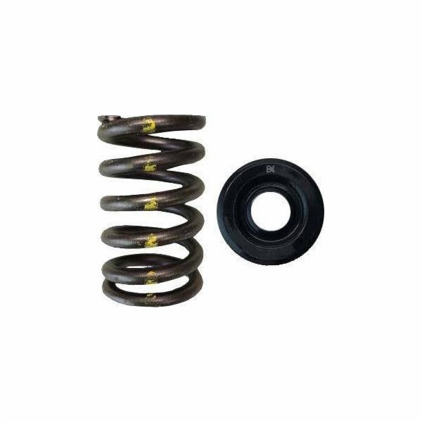 Brian Crower s jednou pružinou/ocelovou miskou ventilu (T...