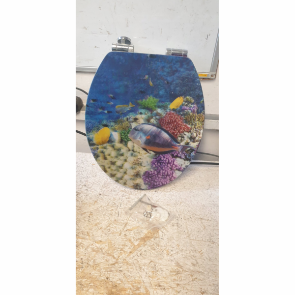 Wenko bidetové sedátko FISH WC sedátko, MDF, WENKO