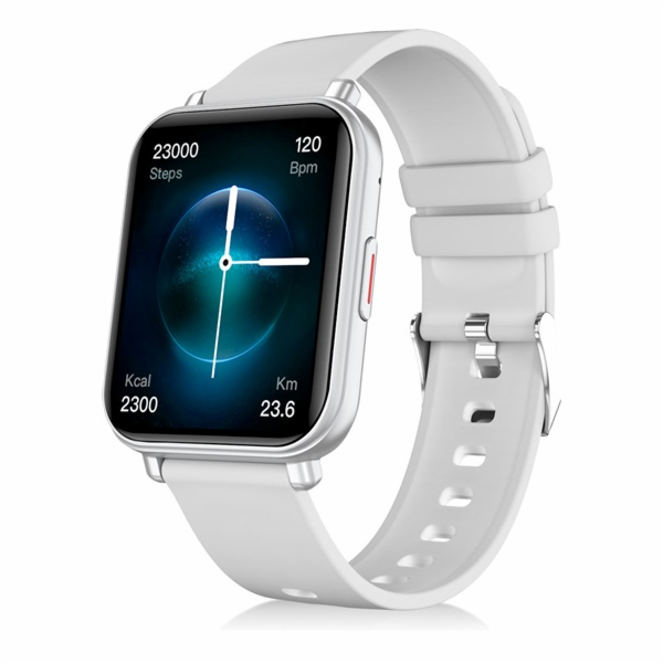 Niceboy Watch 4 Artic silver
