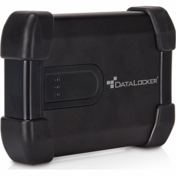 Externí SSD DataLocker H300 Basic 500GB černý