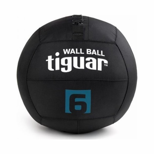 Nástěnný míč Tiguar Tiguar 6 kg