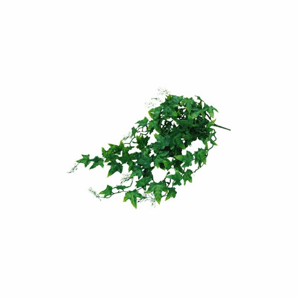 Lucky Reptile Jungle Plants Ivy Bush cca 50 cm