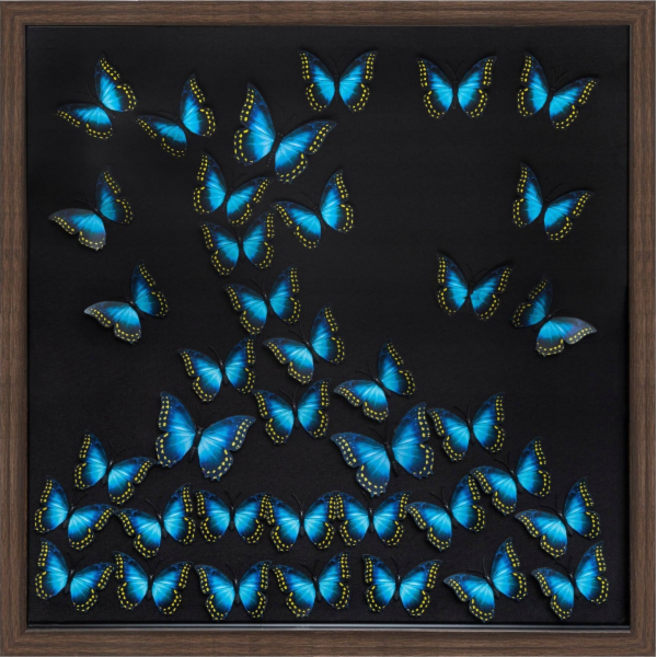 Atmosphera 3D nástěnná dekorace s motýly, 55 x 55 cm