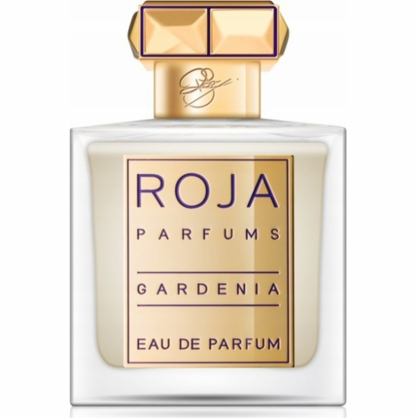 ROJA PARFUMS Reckless Pour Homme Parfum sprej 50ml