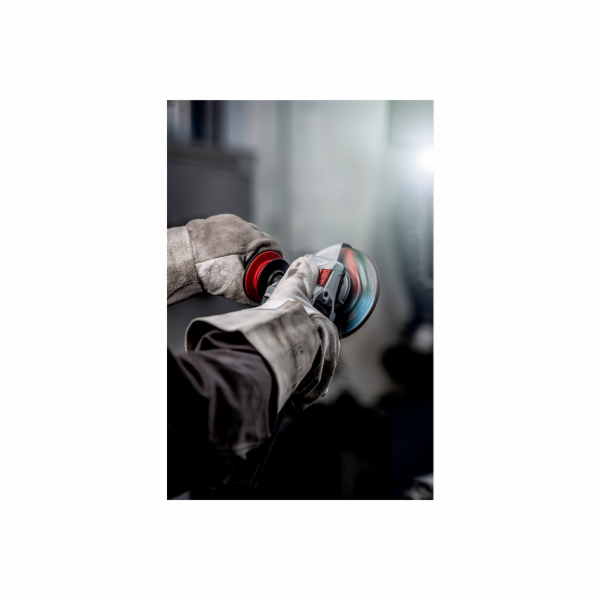 Metabo WE 17-125 QUICK RT (601086000)