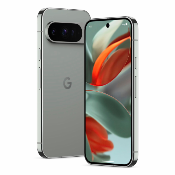 Google Pixel 9 Pro 128GB, Handy