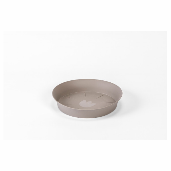 Podkvětník 10 cm taupe Tulipán