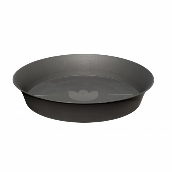 Podkvětník 14 cm antracit Tulipán