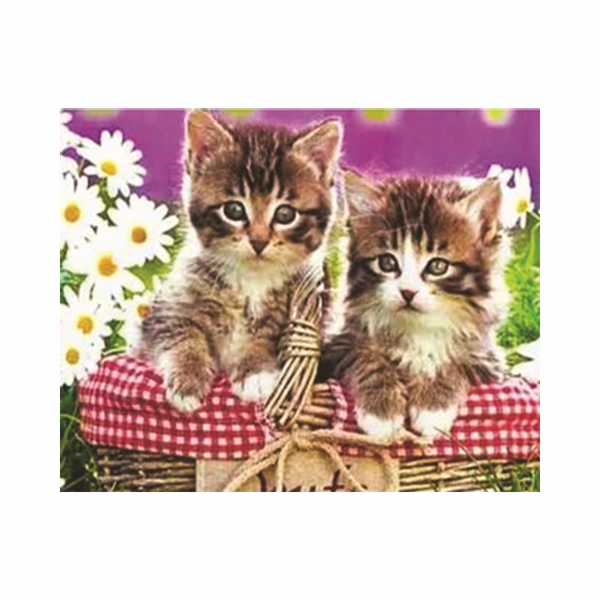 Diamantové malování - Koťátka 40 x 50 cm