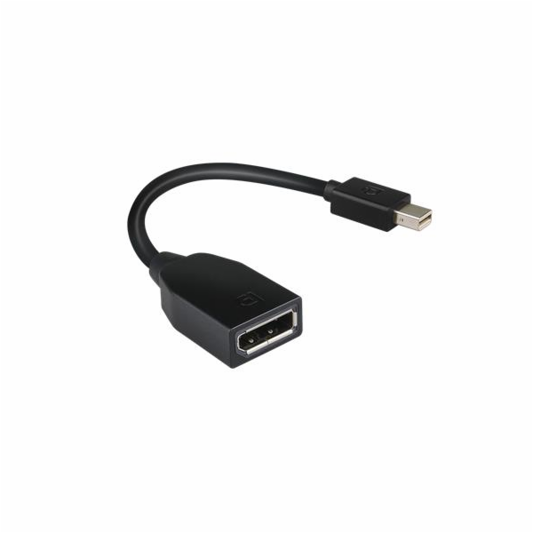 Lenovo - Adaptér DisplayPort - Mini DisplayPort (M) do Di...